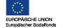 esf-1.png